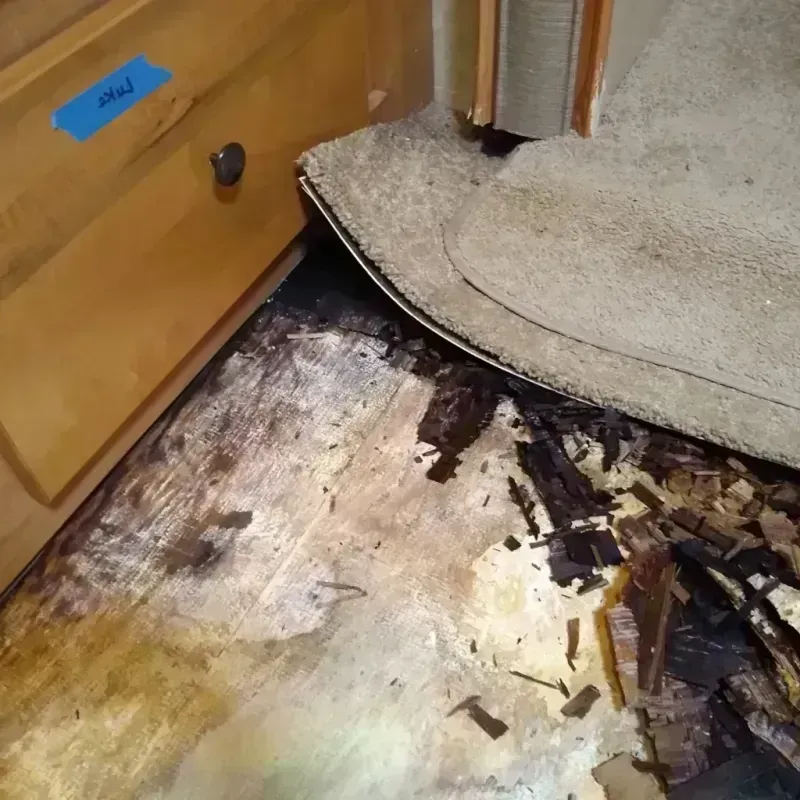 Wood Floor Water Damage in Beachwood, OH